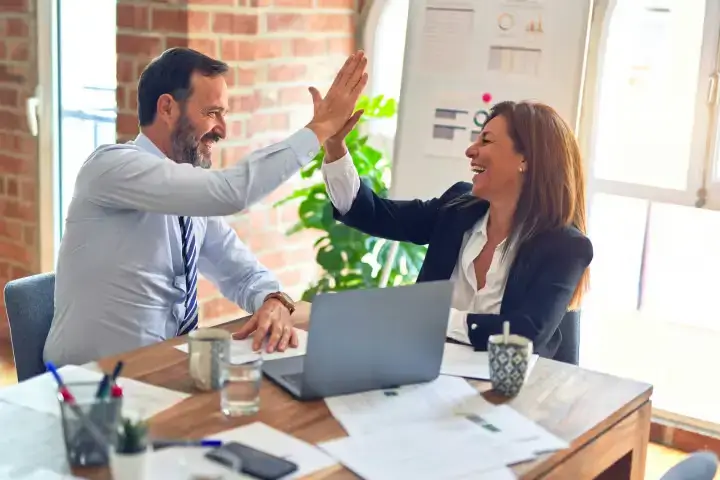 Categorias da Fellipelli